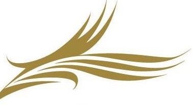 La Palme d'Or 66